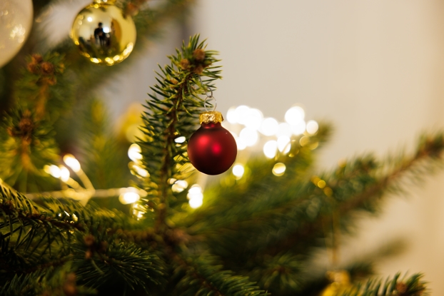 Holiday Tree Lighting Open House